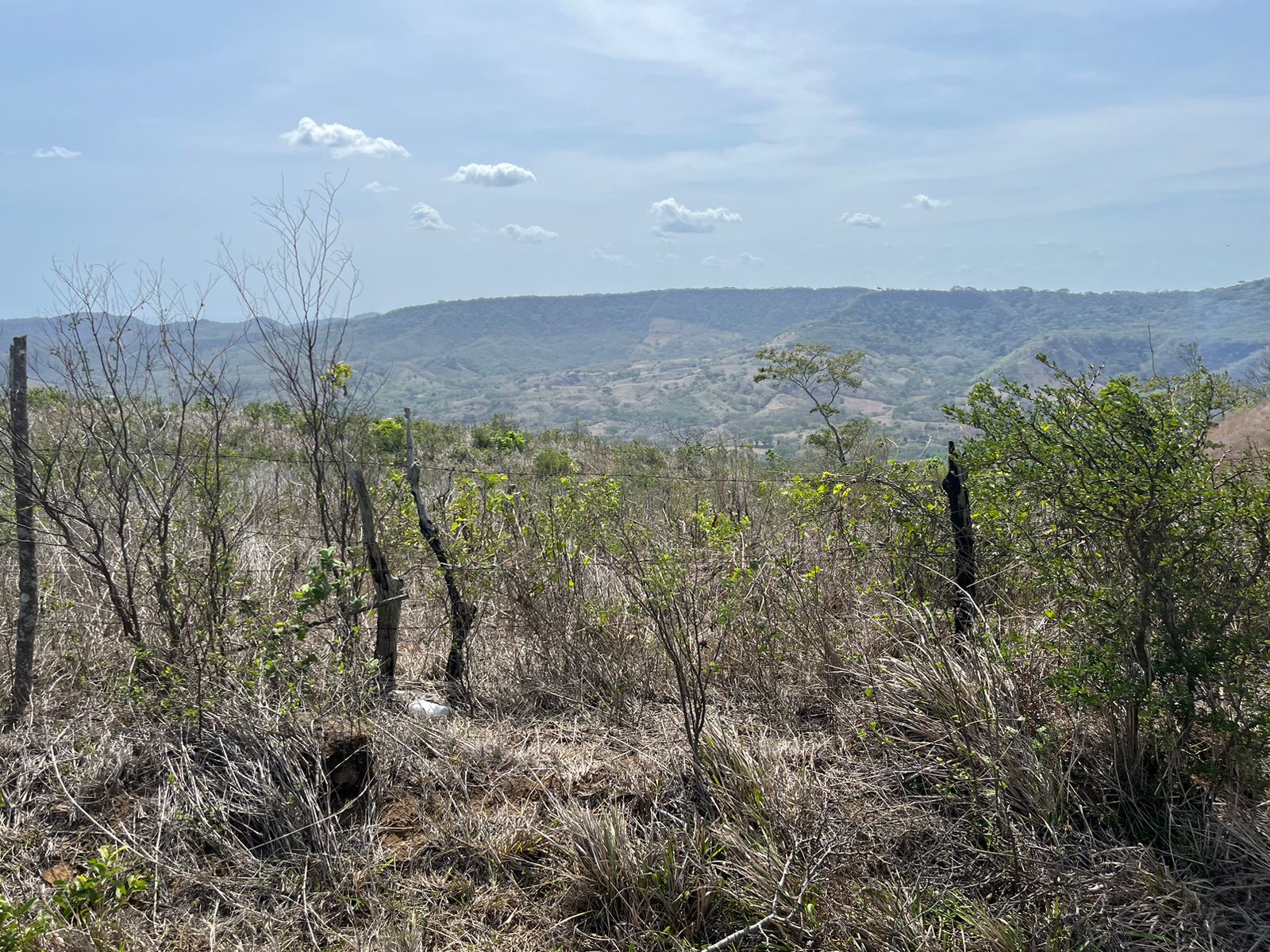 Stunning 32-Acre Farm El Cielo in San Juan del Sur San Juan del Sur, Rivas - Image 5
