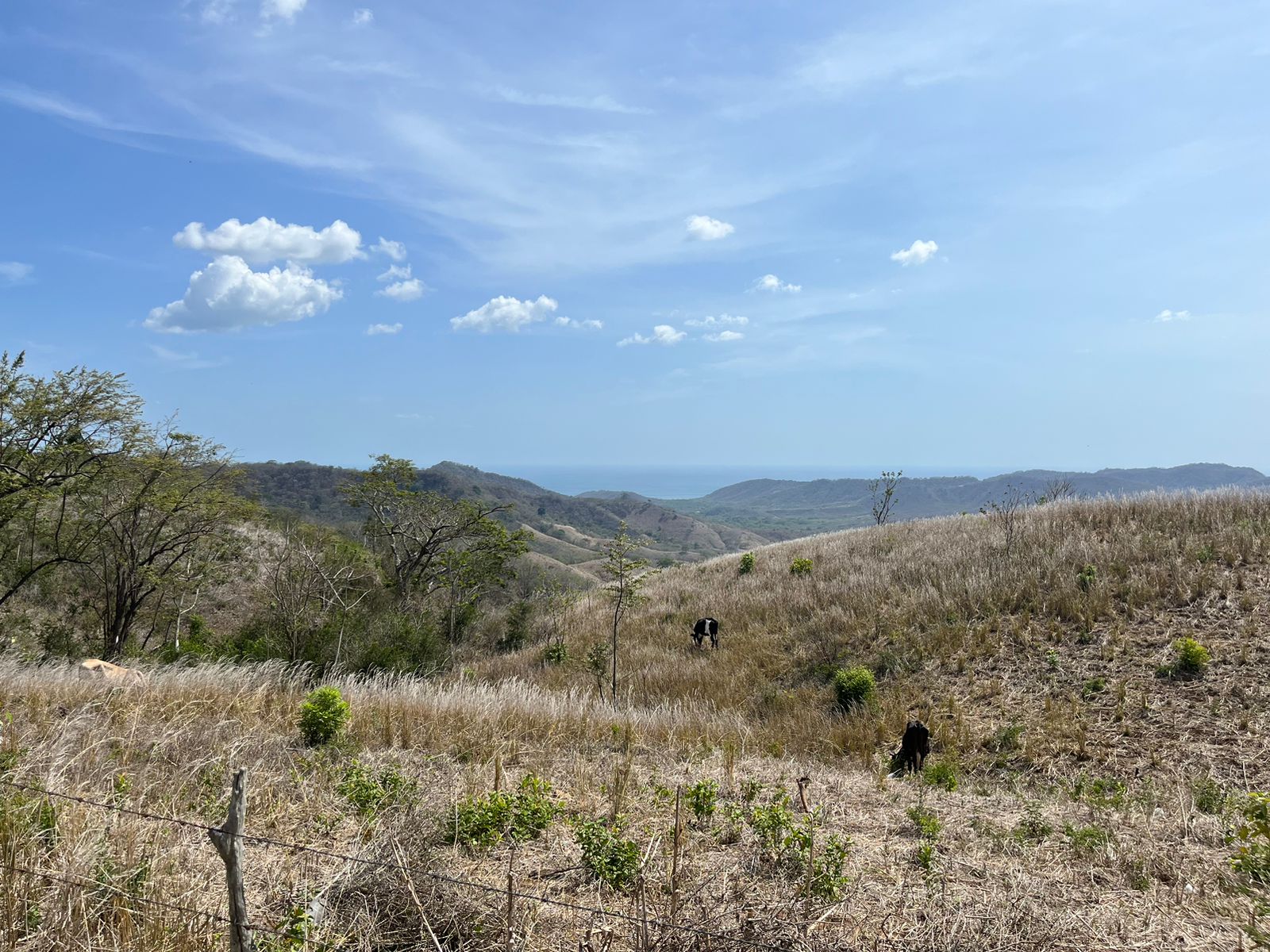Stunning 32-Acre Farm El Cielo in San Juan del Sur San Juan del Sur, Rivas - Image 6