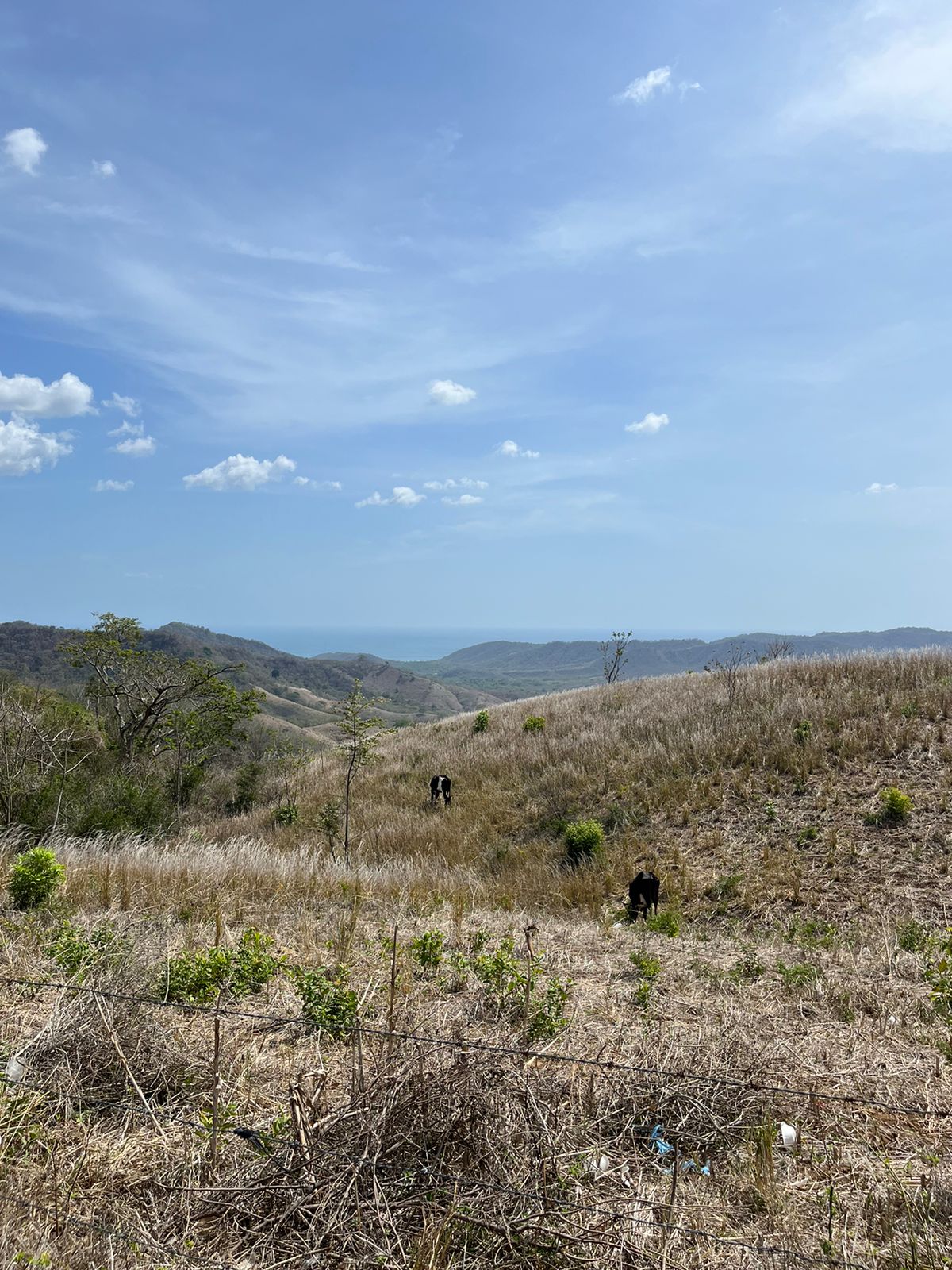 Stunning 32-Acre Farm El Cielo in San Juan del Sur San Juan del Sur, Rivas - Image 7