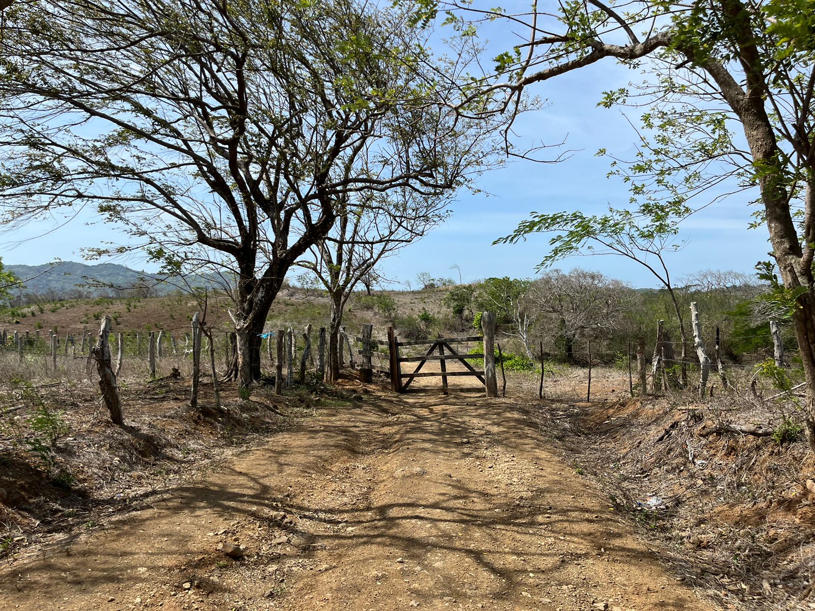 Stunning 32-Acre Farm El Cielo in San Juan del Sur San Juan del Sur, Rivas - Image 8