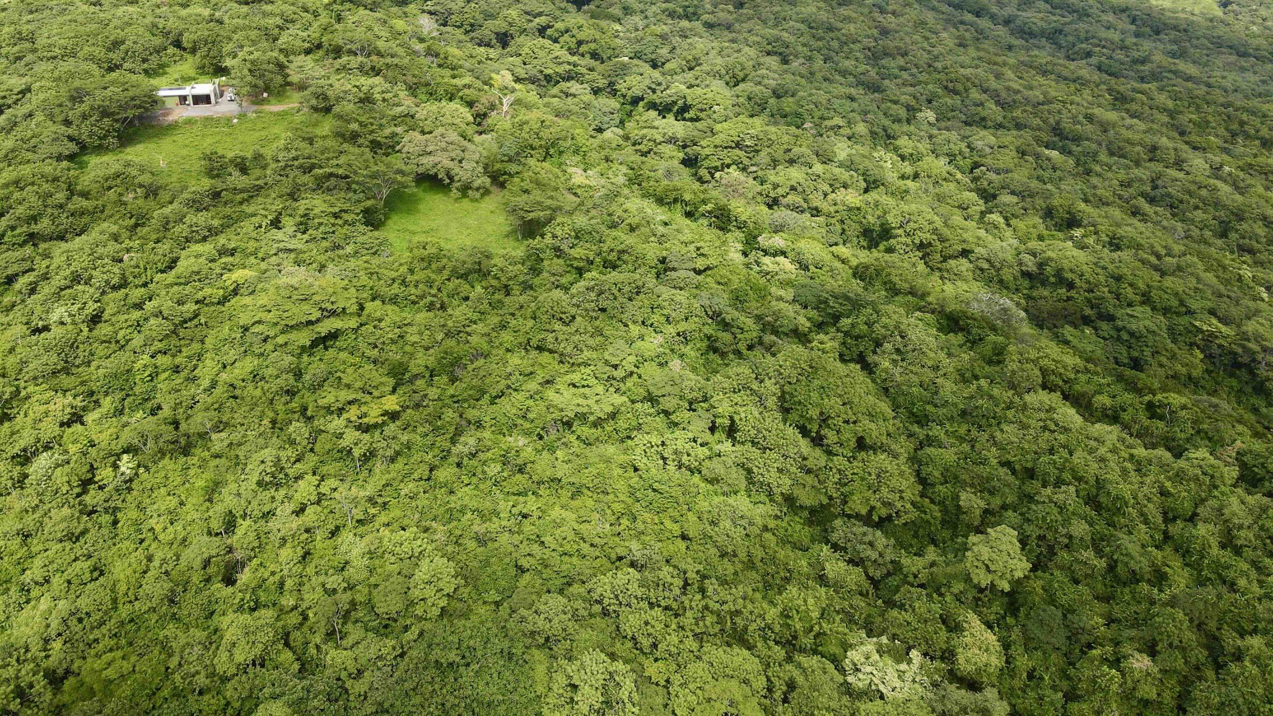 Multi-Acre Lot in Eco Development in San Juan Del Sur, Nicaragua - Image 3