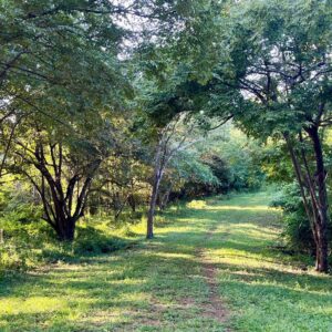 Ocean View Lot Surrounded by Nature in San Juan Del Sur, Nicaragua