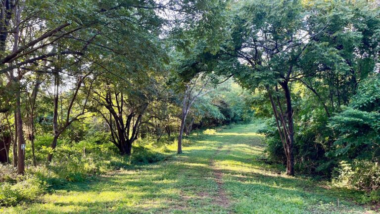 Price Reduced! Your Dream Ocean View Lot Awaits in San Juan Del Sur, Nicaragua