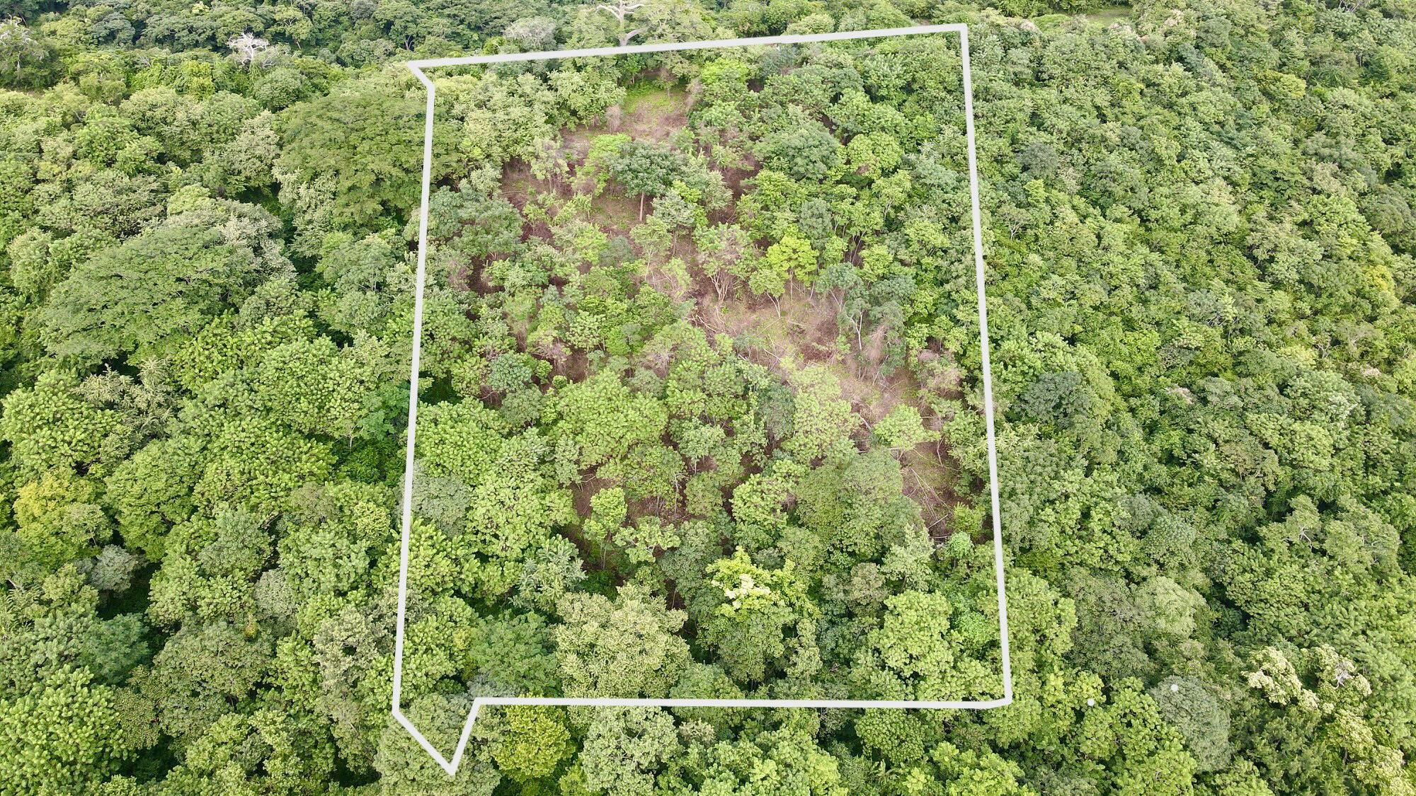 Ocean View Lot Surrounded by Nature in San Juan Del Sur, Nicaragua - Image 4