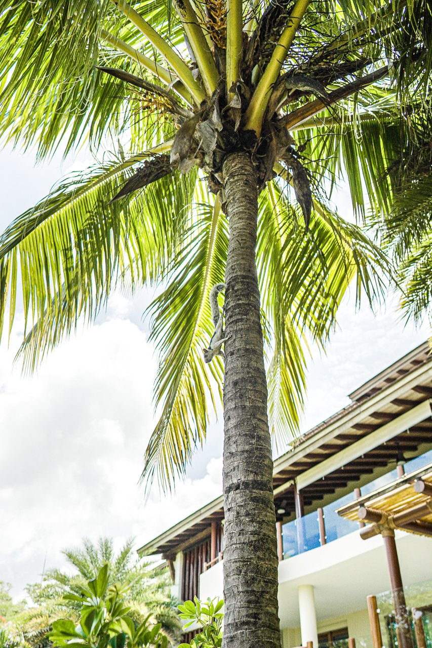 Luxury Ground Floor Condo at Las Terrazas – Guacalito de La Isla - Image 14