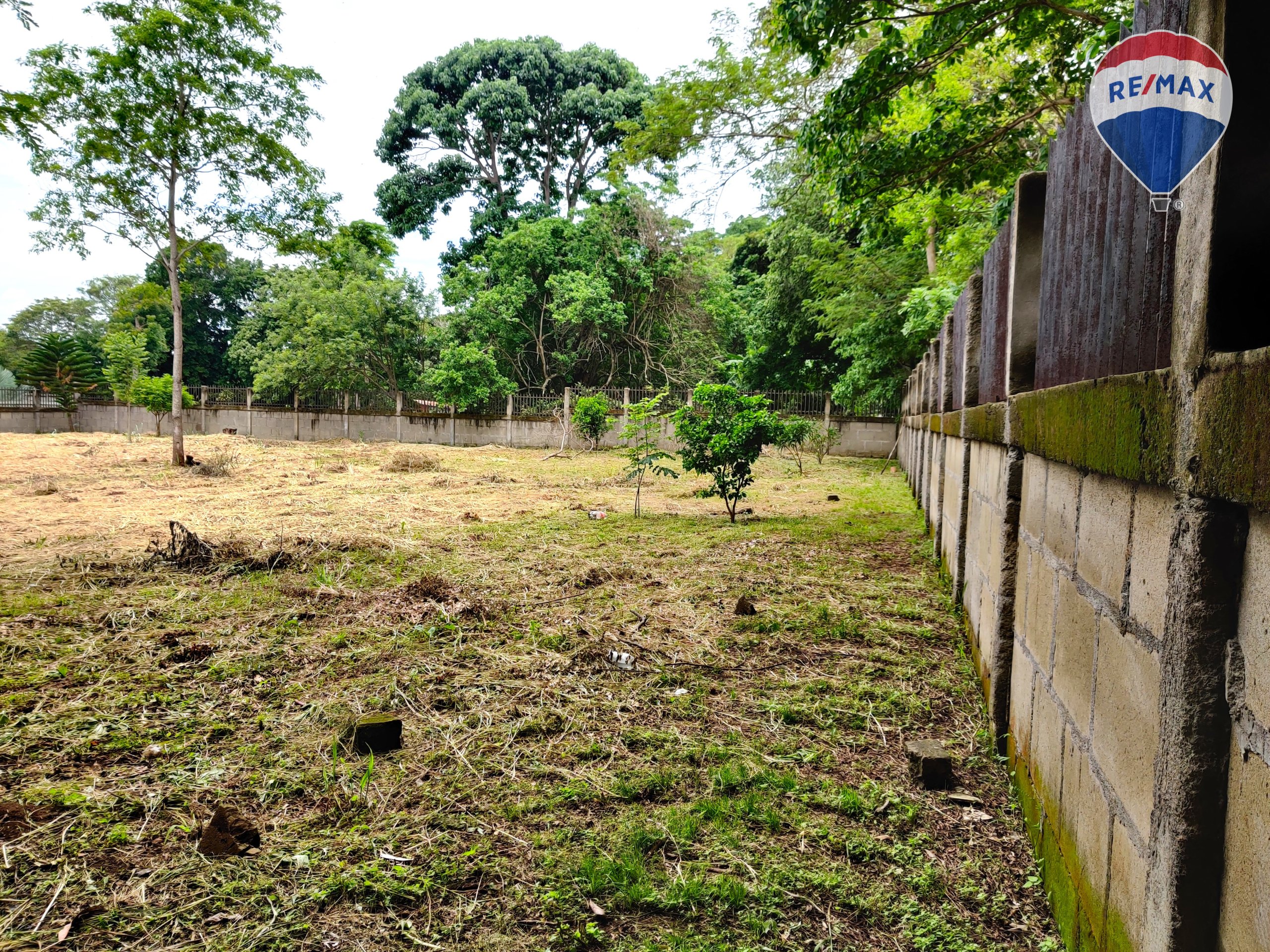 Urban Land in Carretera Masaya - Image 13