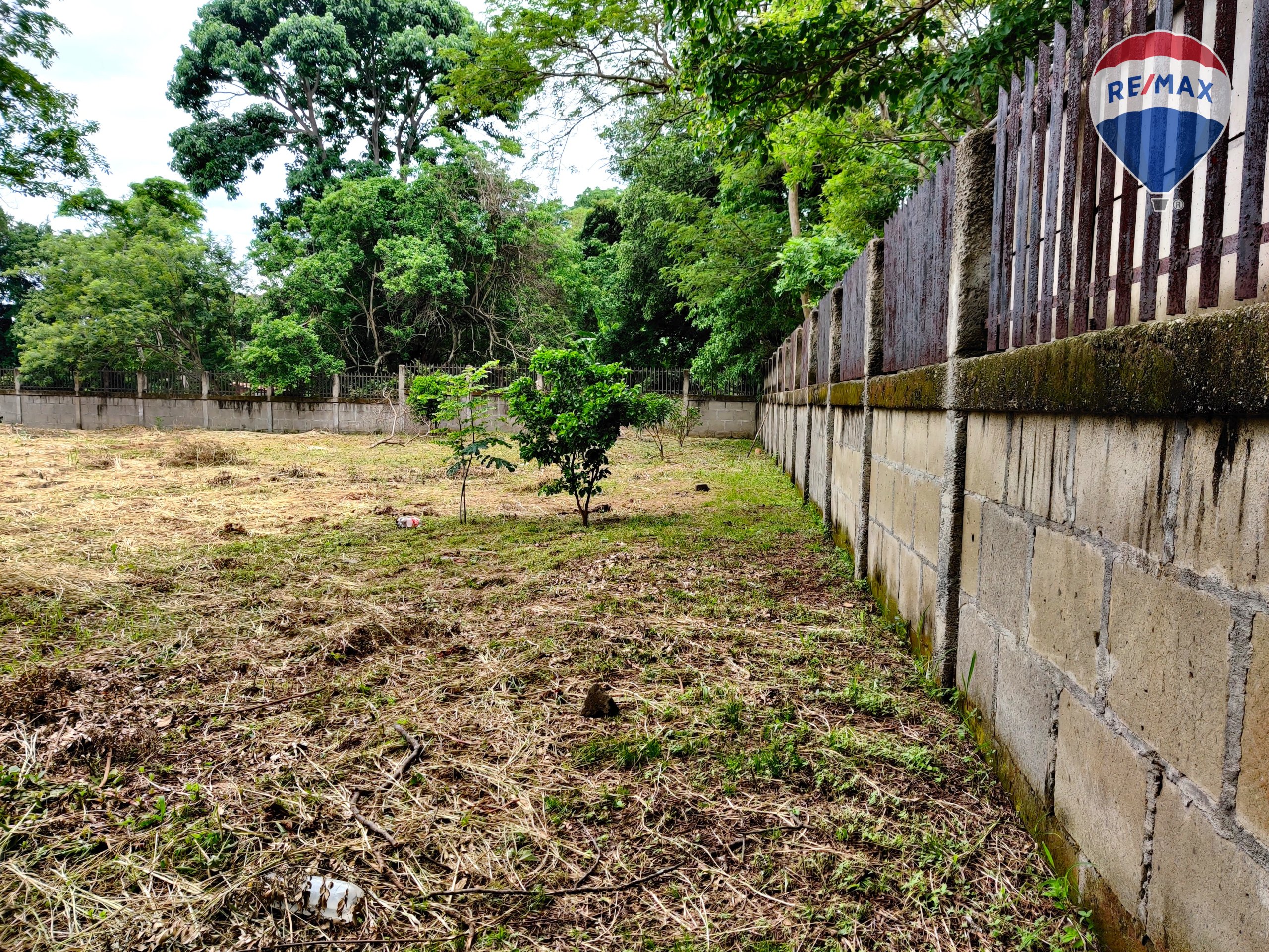 Urban Land in Carretera Masaya - Image 14