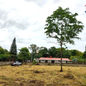 Urban Land in Carretera Masaya