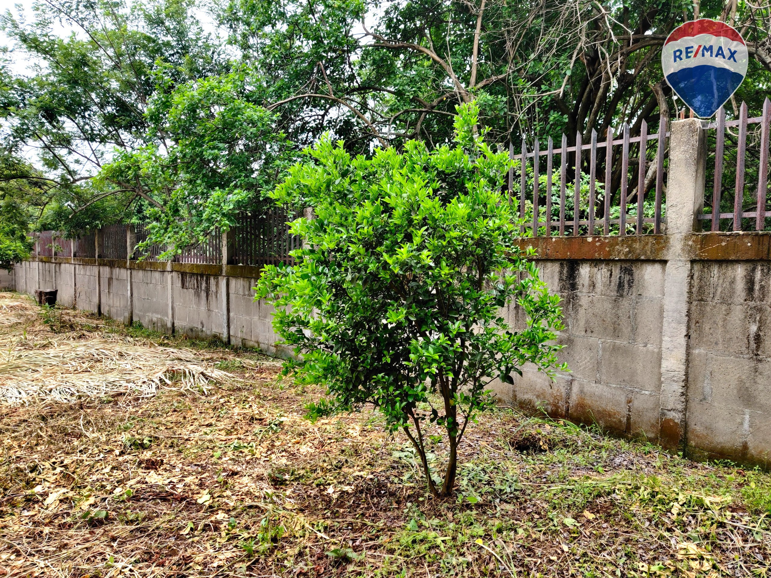 Urban Land in Carretera Masaya - Image 17