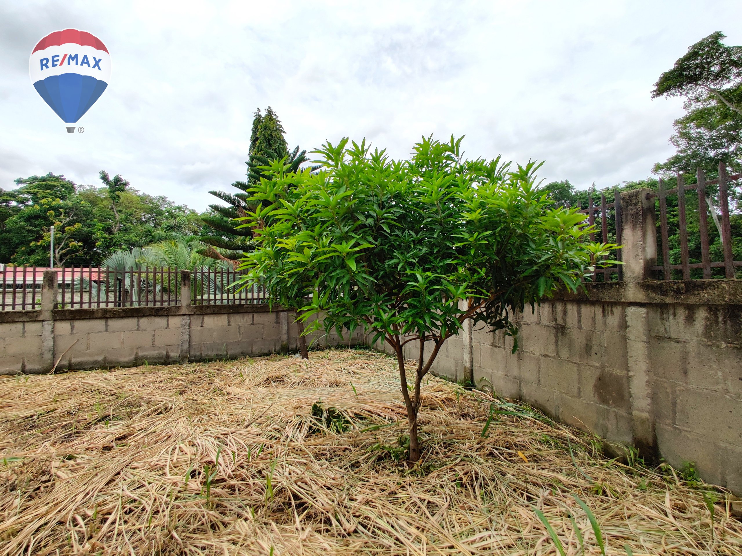 Urban Land in Carretera Masaya - Image 18