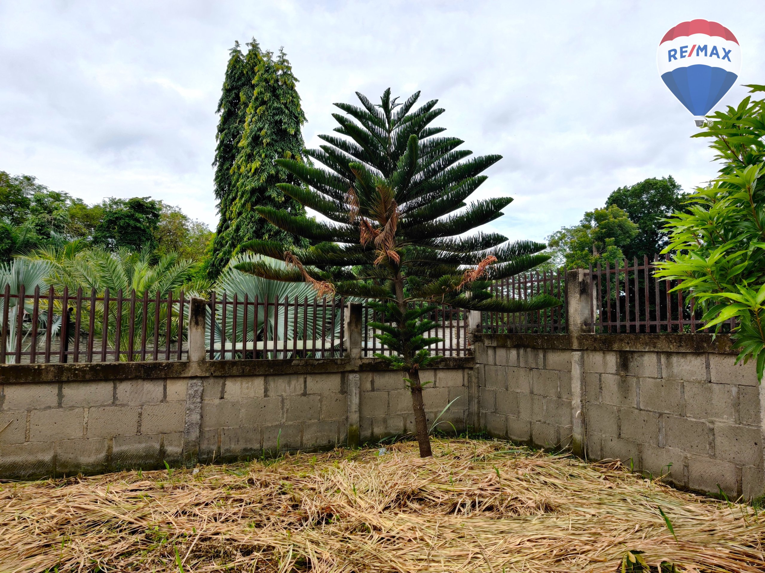 Urban Land in Carretera Masaya - Image 8