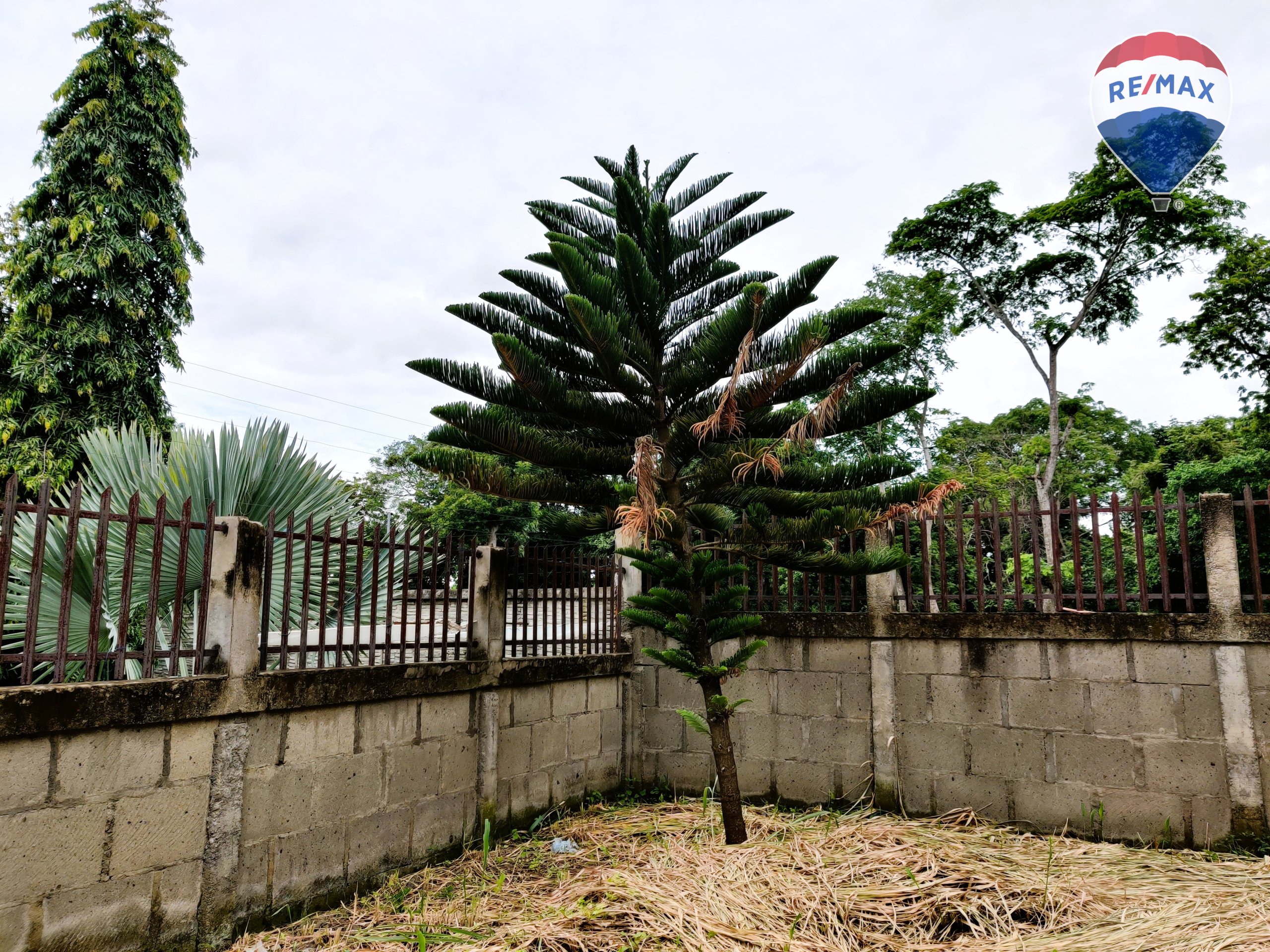 Urban Land in Carretera Masaya - Image 19
