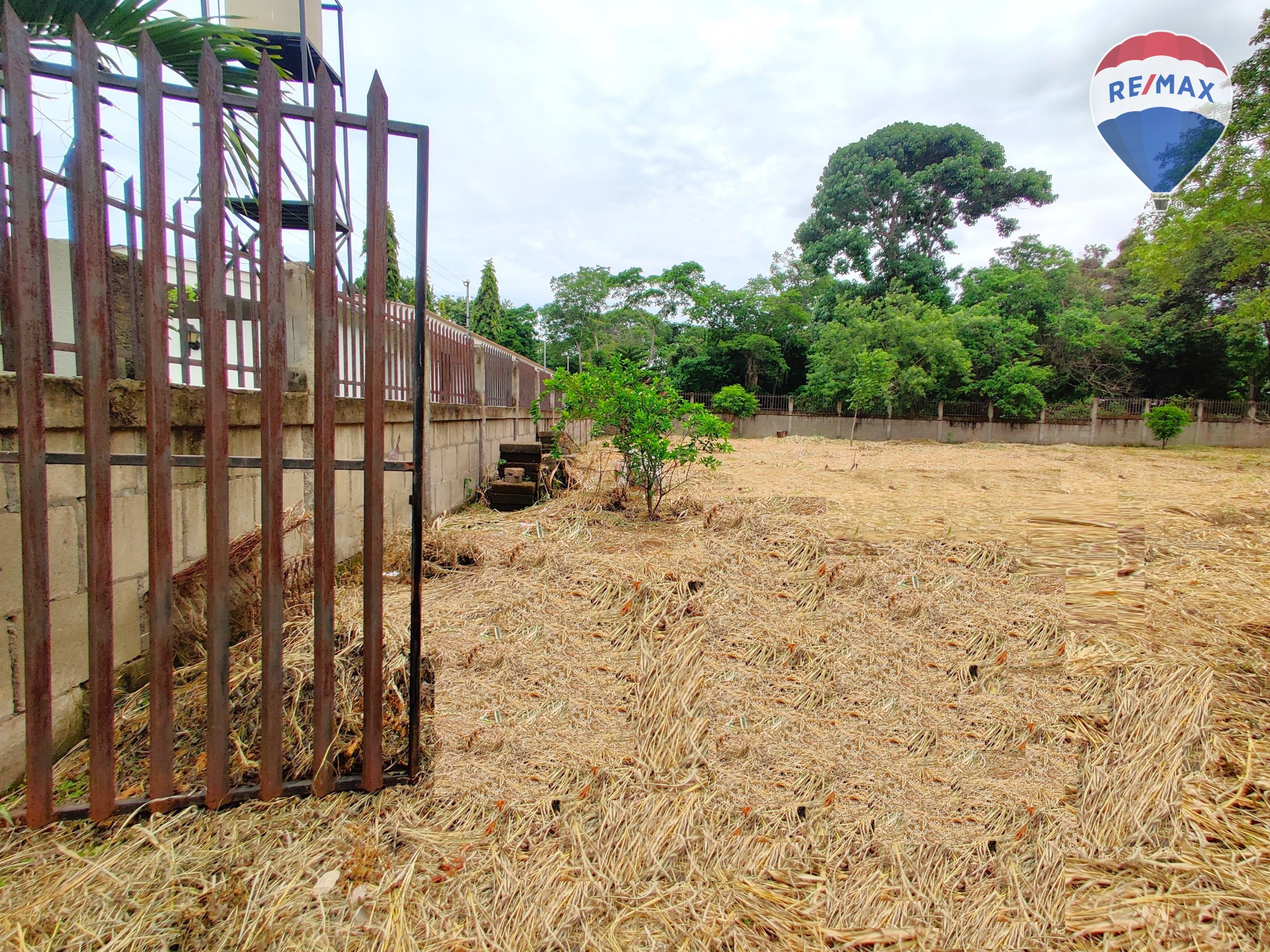 Urban Land in Carretera Masaya - Image 4