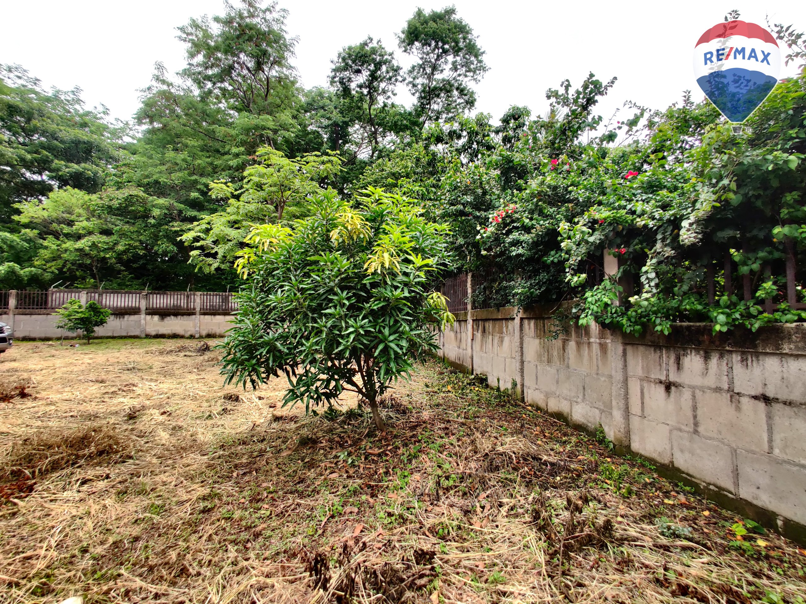 Urban Land in Carretera Masaya - Image 12