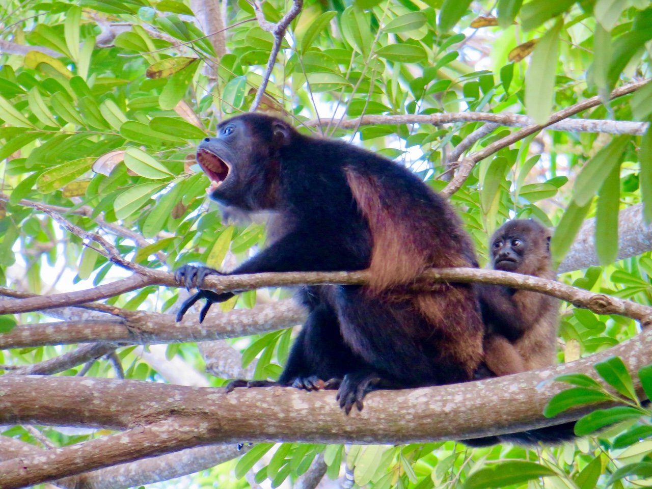 Modern Island Home with Volcano Views – Ometepe, Nicaragua Rivas - Image 28