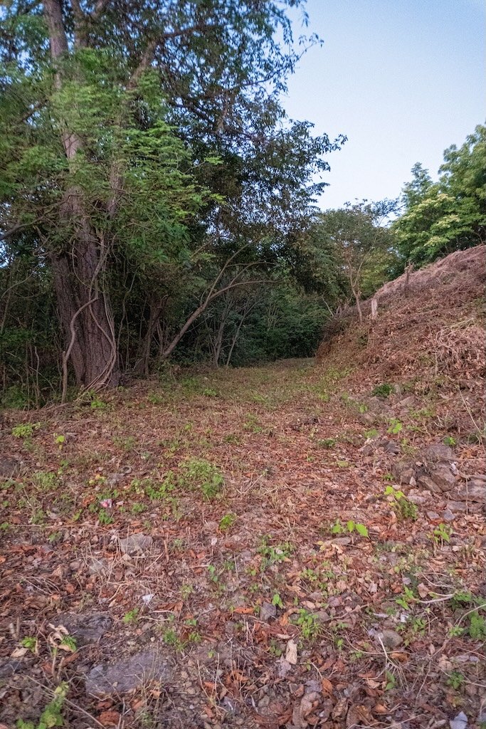 Beachfront Property Near Los Lamosos in San Juan del Sur - Image 4
