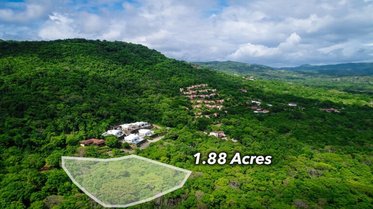 Price Update! Your Dream Oceanview Lot Awaits in Lomas de Palermo 🌊🌴