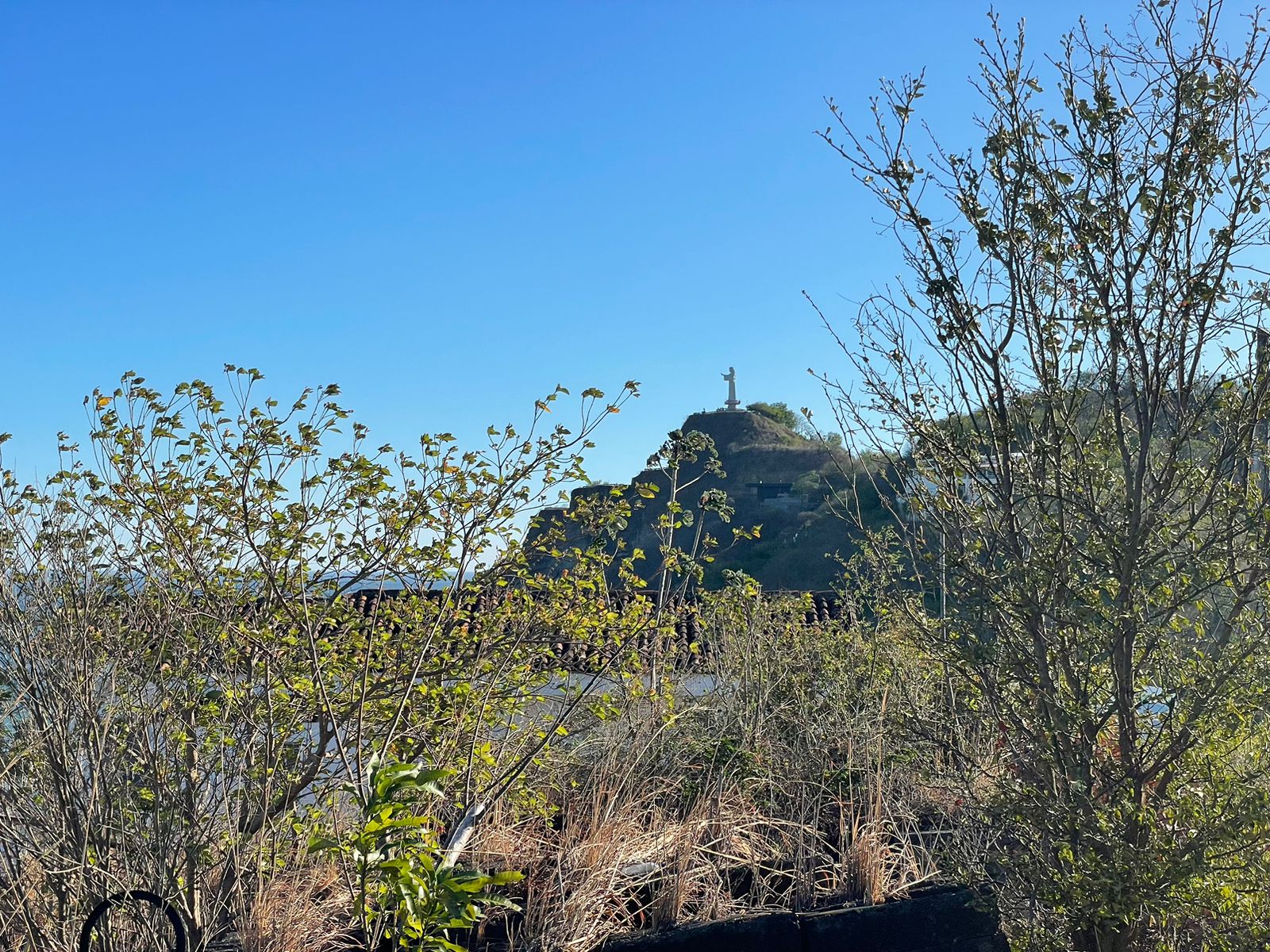 Stunning Ocean View Lots in Lomas de San Juan - Image 4