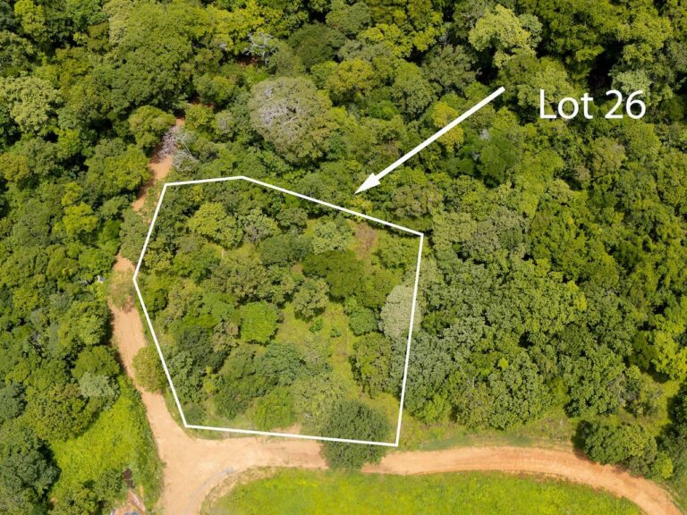 Big Opportunity Alert! Dream Big Near TreeCasa – Prime Half Acre Lot Updated