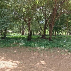 Resale Lot B15 in Bosques Del Mar