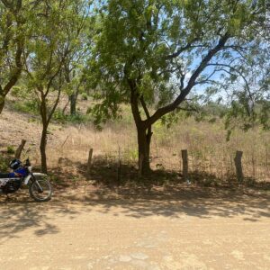 Prime lot near Playa Maderas