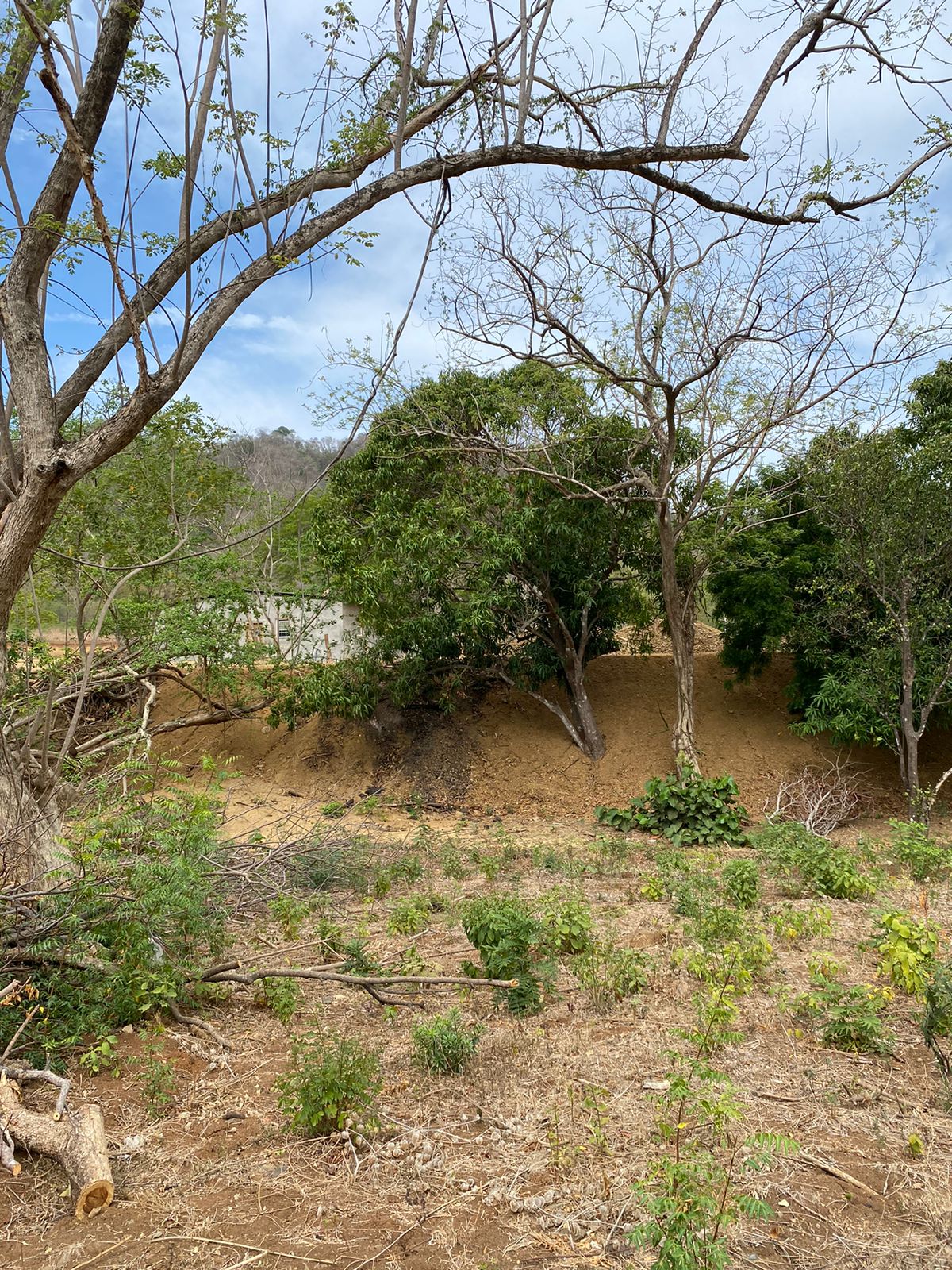 Exceptional and Spacious lot near Playa Remanso - Image 3