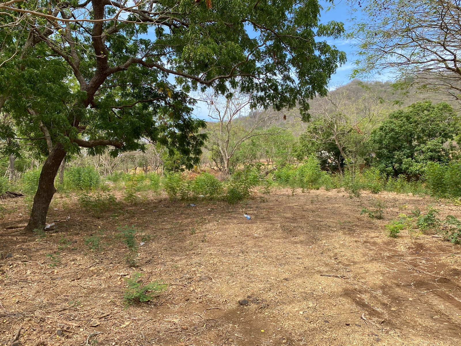 Exceptional and Spacious lot near Playa Remanso - Image 4