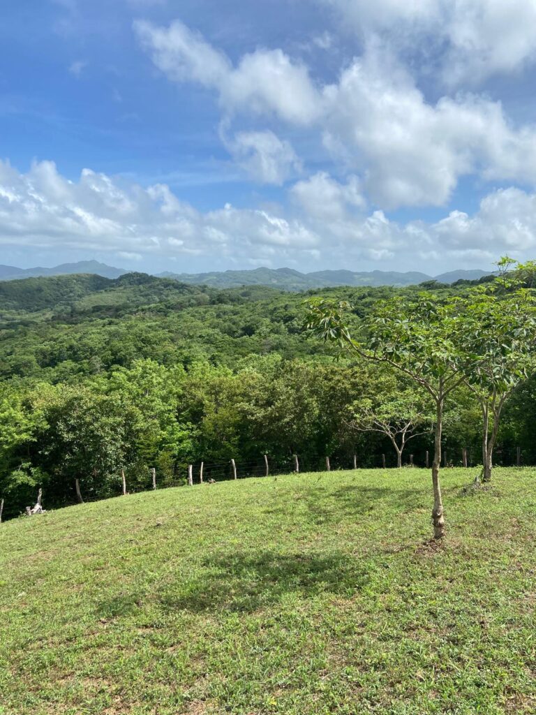 Updated Listing! Own a Piece of Paradise in El Carrizal’s Eco-Friendly Community