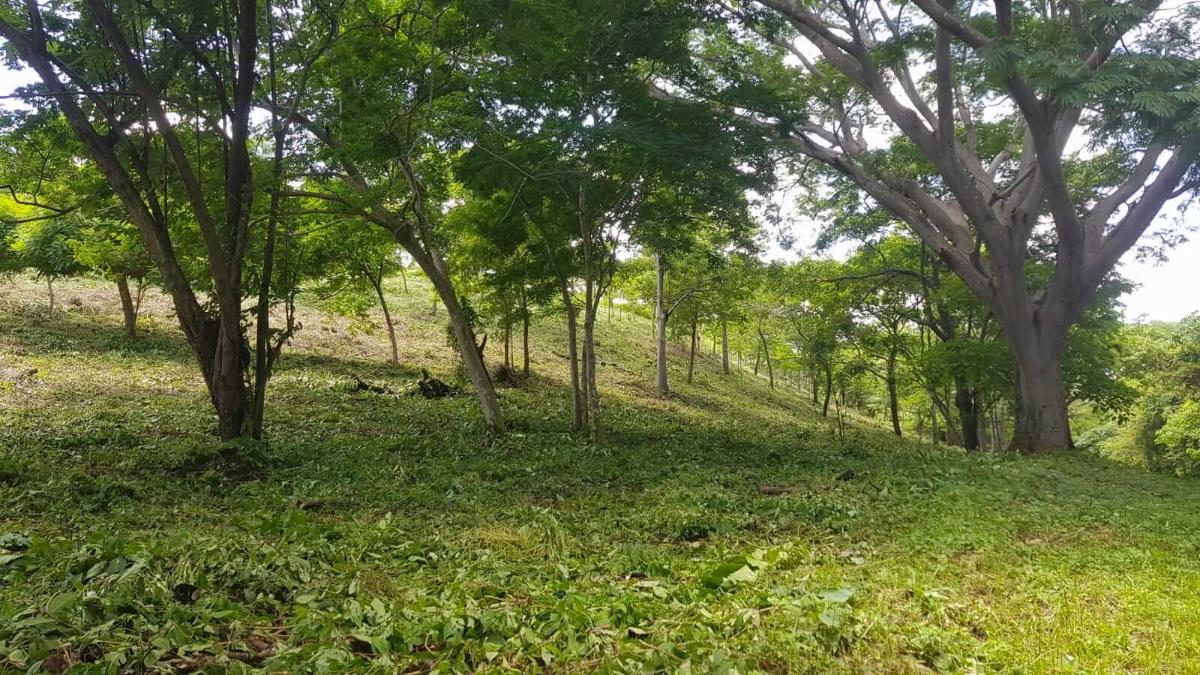 Lot 54 Las Fincas, Great view lot in a cool Eco Community, South San Juan del Sur - Image 3