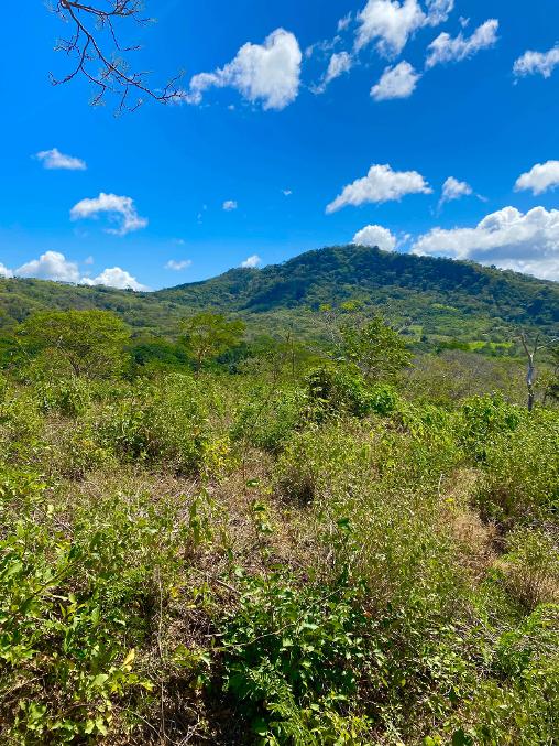 Lot 54 Las Fincas, Great view lot in a cool Eco Community, South San Juan del Sur - Image 4