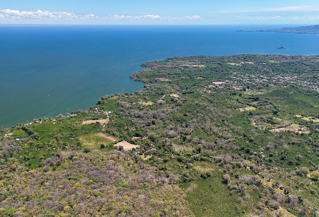 REDUCED by ALMOST 50%! 21+ Acres on Ometepe Island - Image 3