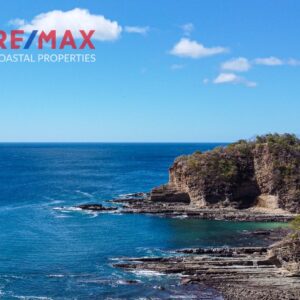 Pacific Marlin Lot 33