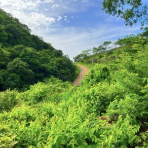 Flat Ocean-View Lot | Only 3 Minutes From Town