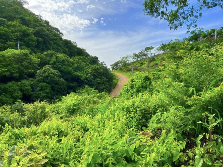 Attention Builders and Dreamers: Ocean-View Lot with Updated Price Just Minutes from San Juan del Sur!