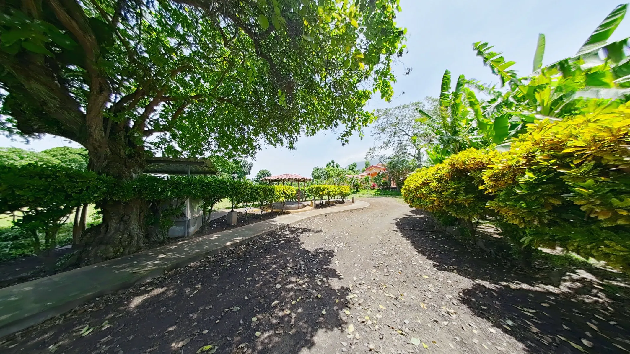 Expansive Compound on Ometepe Island - Image 32