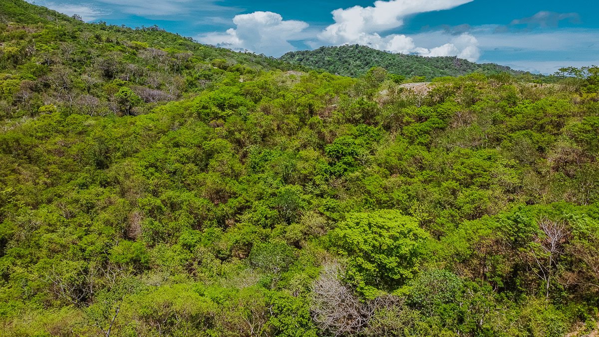 Remanso Beach View Lot 87 - Image 4