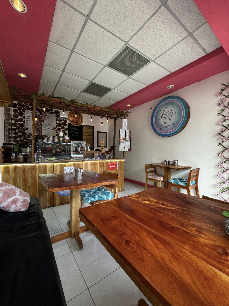 Frozen Yogurt Shop for Sale in San Juan del Sur - Image 6