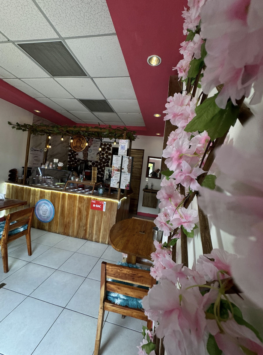 Frozen Yogurt Shop for Sale in San Juan del Sur - Image 5