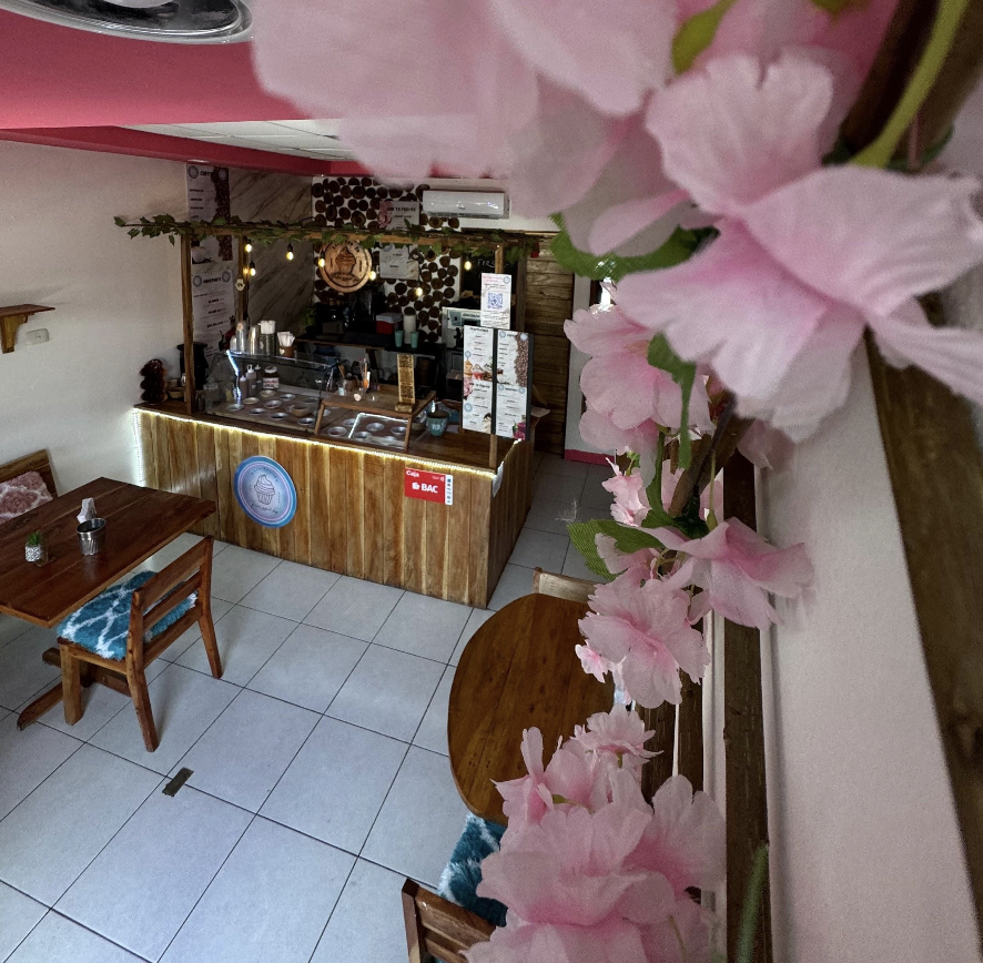 Frozen Yogurt Shop for Sale in San Juan del Sur - Image 2