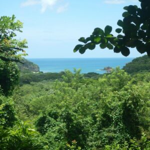 Walk to the Beach Lot ready for a Home to be built