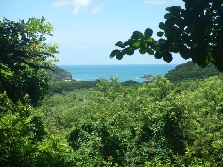 Price Update! Your Dream Lot Near Playa Marsella for $80,000