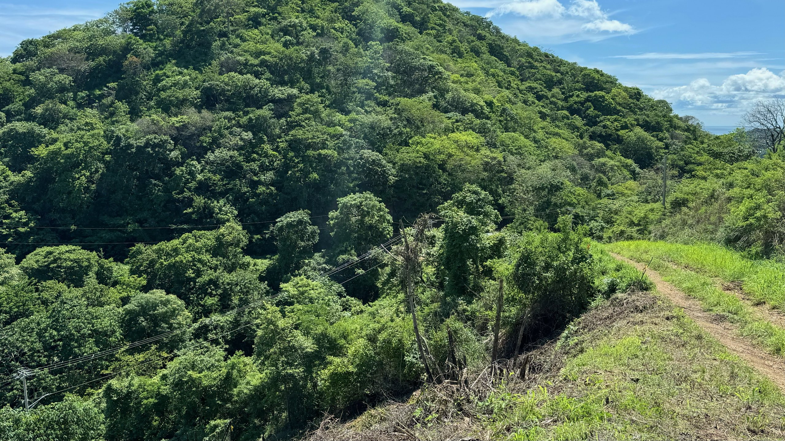 Affordable Ocean View Lot in Paradise Bay - Image 3