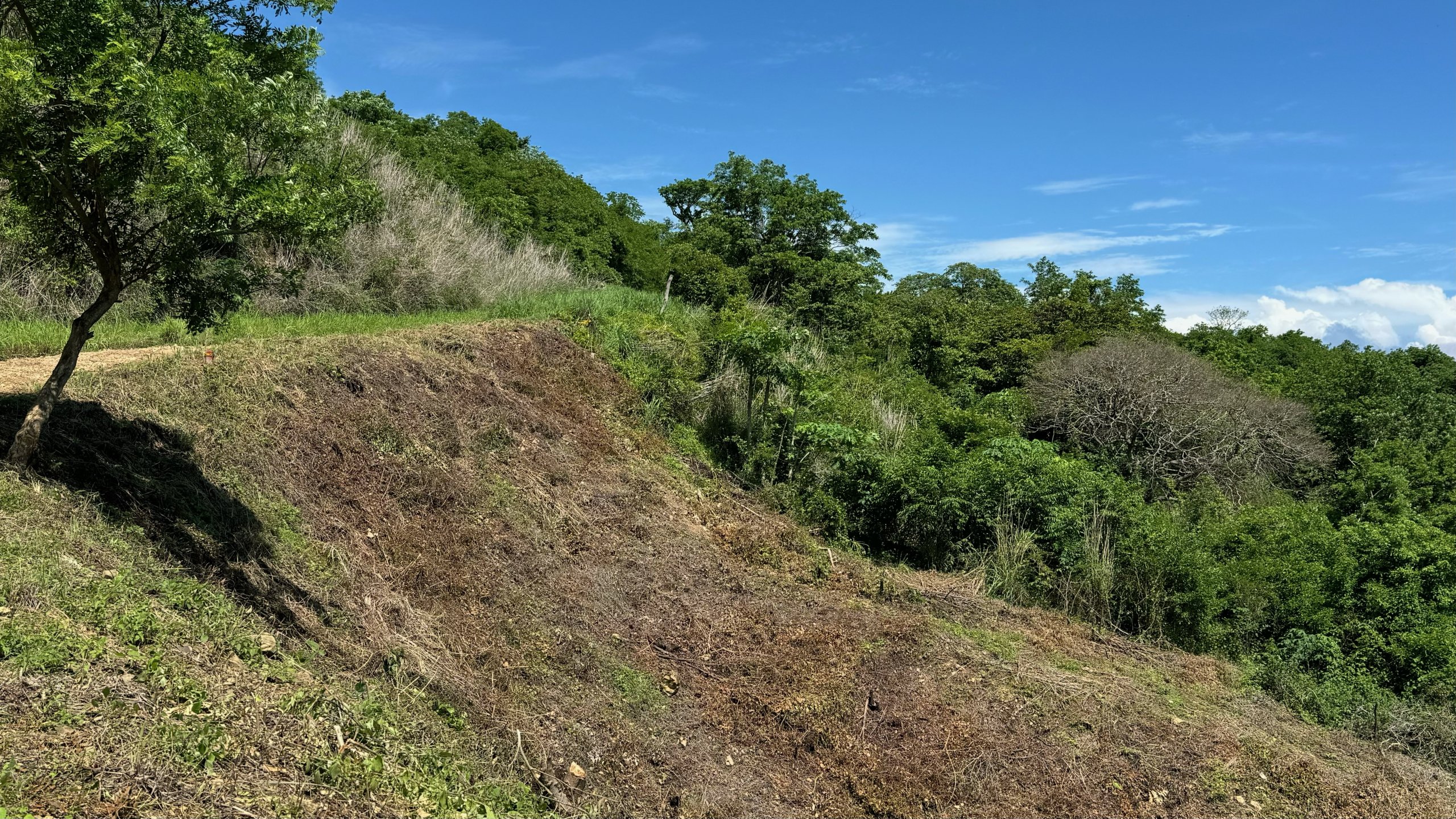 Affordable Ocean View Lot in Paradise Bay - Image 4