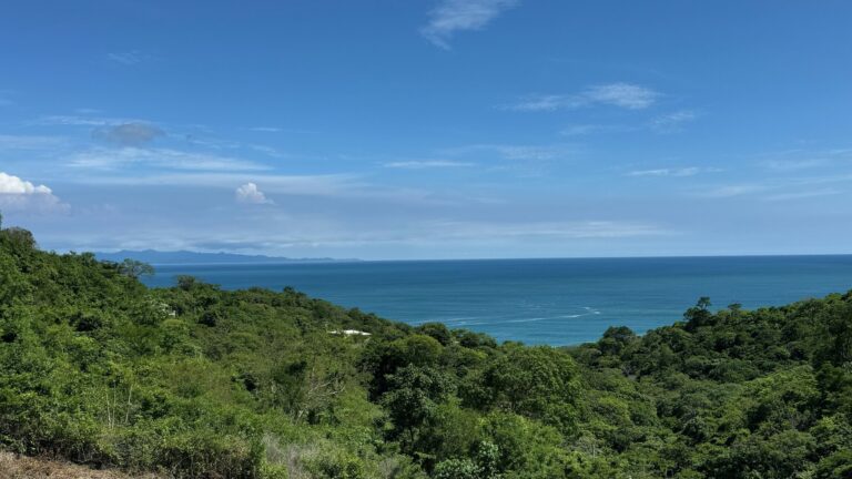 Price Drop Alert! Snag Your Ocean View Lot in Paradise Bay for Just $59,000!